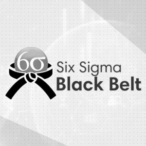 Six Sigma Black Belt